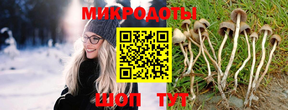 Псилоцибиновые грибы Psilocybe Мытищи